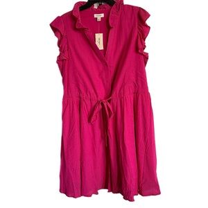 On 34th Plus Size Pink Dress